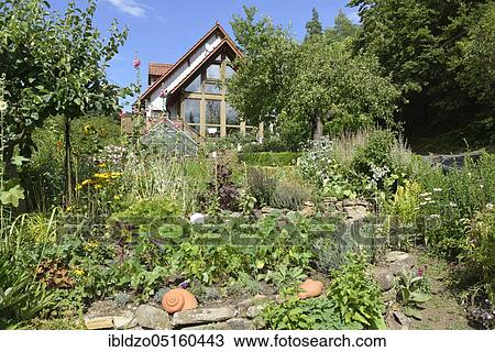 Natural garden with dry stone wall View Large Photo Image Stock Image - Natural garden with dry stone wall. Fotosearch