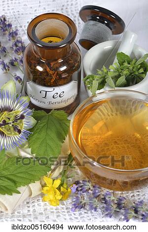Nervous (Passiflora incarnata) and calming tea, lemon balm leaves (Lemon balm officinalis) lemon balm, passion flower, St. John's wort, hops (Humulus lupulus), hop cones, lavender flowers, orange blossom (Citrus sinensis) (Hype rforatum), la View Large Photo Image Picture - Nervous (Passiflora incarnata) and calming tea, lemon balm leaves (Lemon balm officinalis) lemon balm, passion flower, St. John's wort, hops (Humulus lupulus), hop cones, lavender flowers, orange blossom (Citrus sinensis) (Hype rforatum), la. Fotosearch
