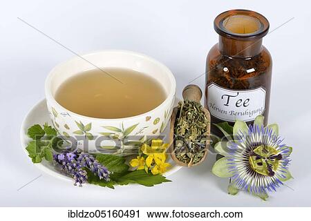 Nervous (Passiflora incarnata) and calming tea, lemon balm leaves (Lemon balm officinalis) lemon balm, passion flower, St. John's wort, hops (Humulus lupulus), hop cones, lavender flowers, orange blossom (Citrus sinensis) (Hype rforatum), la View Large Photo Image Stock Image - Nervous (Passiflora incarnata) and calming tea, lemon balm leaves (Lemon balm officinalis) lemon balm, passion flower, St. John's wort, hops (Humulus lupulus), hop cones, lavender flowers, orange blossom (Citrus sinensis) (Hype rforatum), la. Fotosearch