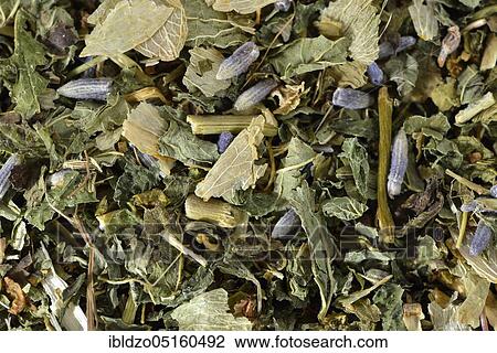 Nervous (Passiflora incarnata) and calming tea, lemon balm leaves (Lemon balm officinalis) lemon balm, passion flower, St. John's wort, hops (Humulus lupulus), hop cones, lavender flowers, orange blossom (Citrus sinensis) (Hype rforatum), la View Large Photo Image Stock Image - Nervous (Passiflora incarnata) and calming tea, lemon balm leaves (Lemon balm officinalis) lemon balm, passion flower, St. John's wort, hops (Humulus lupulus), hop cones, lavender flowers, orange blossom (Citrus sinensis) (Hype rforatum), la. Fotosearch