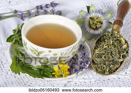 Nervous (Passiflora incarnata) and calming tea, lemon balm leaves (Lemon balm officinalis) lemon balm, passion flower, St. John's wort, hops (Humulus lupulus), hop cones, lavender flowers, orange blossom (Citrus sinensis) (Hype rforatum), la View Large Photo Image Stock Image - Nervous (Passiflora incarnata) and calming tea, lemon balm leaves (Lemon balm officinalis) lemon balm, passion flower, St. John's wort, hops (Humulus lupulus), hop cones, lavender flowers, orange blossom (Citrus sinensis) (Hype rforatum), la. Fotosearch