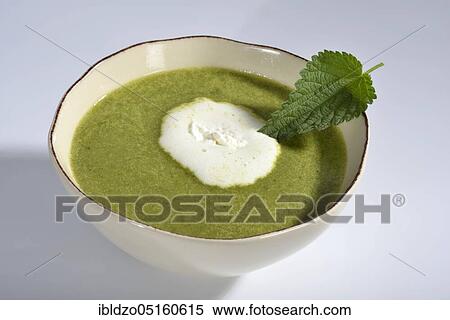 Nettle soup (Urtica dioica) View Large Photo Image Stock Photography - Nettle soup (Urtica dioica). Fotosearch