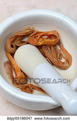 Stock Photo - Nutmeg blossoms in grated shell, mace, mace, mace. Fotosearch