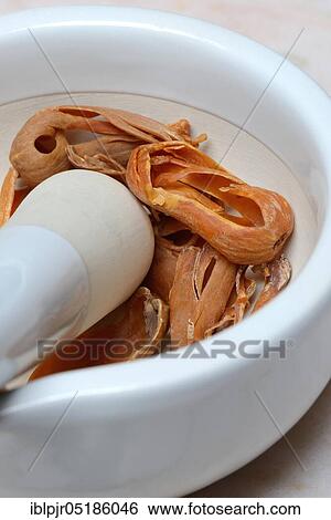 Stock Photograph - Nutmeg blossoms in grated shell, mace, mace, mace. Fotosearch