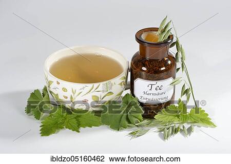 Stock Image - Oat herb, oat straw, nettle, Alpine lady's mantle (Avena sativa) (Urtica dioica) (Alchemilla alpina), green oat tea. Fotosearch