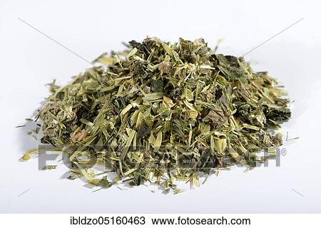 Oat herb, oat straw, nettle, Alpine lady's mantle (Avena sativa) (Urtica dioica) (Alchemilla alpina), green oat tea View Large Photo Image Stock Image - Oat herb, oat straw, nettle, Alpine lady's mantle (Avena sativa) (Urtica dioica) (Alchemilla alpina), green oat tea. Fotosearch