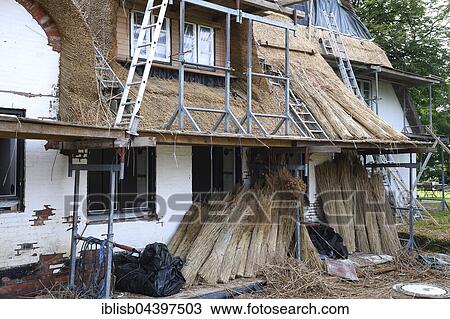 Old Frisian house with thatched roof, new thatching, Keitum, Sylt, North Frisian Islands, North Frisia, Schleswig-Holstein, Germany, Europe View Large Photo Image Stock Image - Old Frisian house with thatched roof, new thatching, Keitum, Sylt, North Frisian Islands, North Frisia, Schleswig-Holstein, Germany, Europe. Fotosearch