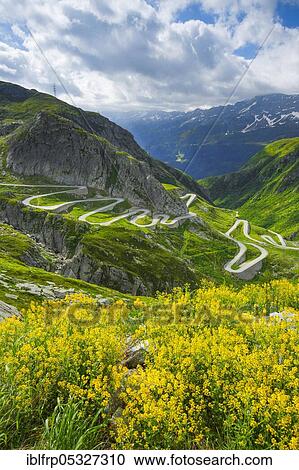 Old Gotthard Pass road, Gotthard Pass, Gotthard road, Switzerland, Europe View Large Photo Image Stock Image - Old Gotthard Pass road, Gotthard Pass, Gotthard road, Switzerland, Europe. Fotosearch