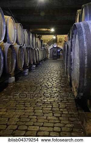 Picture - Old wine barrels in wine cellar, Tenerife, Canary Islands, Spain, Europe. Fotosearch