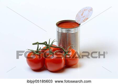 Opened tin of canned tomatoes and ripe tomatoes View Large Photo Image Stock Image - Opened tin of canned tomatoes and ripe tomatoes. Fotosearch