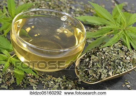 Stock Image - Ordinary hemp, tea. Fotosearch