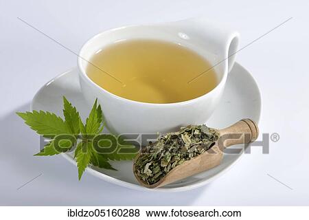 Stock Photo - Ordinary hemp, tea. Fotosearch