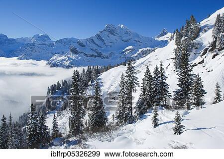 Stock Photo - Ortstock and Toedi, Glarus Alps, Switzerland, Tödi, Europe. Fotosearch