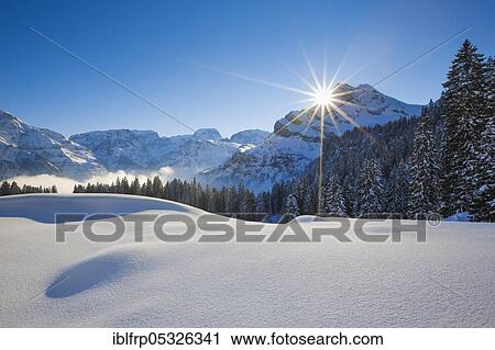 Ortstock and Tödi, Glarus Alps, Switzerland, Europe View Large Photo Image Stock Image - Ortstock and Tödi, Glarus Alps, Switzerland, Europe. Fotosearch