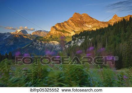 Stock Image - Ortstock and Tödi, Glarus, Switzerland, Europe. Fotosearch