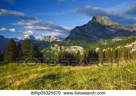 Stock Image - Ortstock and Tödi, Glarus, Switzerland, Europe. Fotosearch