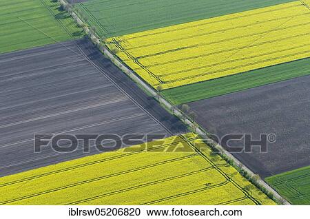 Osterfeine, County of Vechta, Lower Saxony, Germany, Europe View Large Photo Image Stock Image - Osterfeine, County of Vechta, Lower Saxony, Germany, Europe. Fotosearch