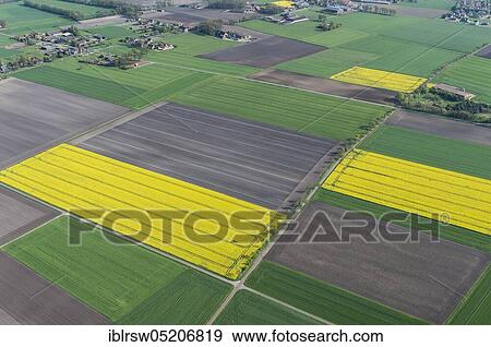 Stock Photo - Osterfeine, County of Vechta, Lower Saxony, Germany, Europe. Fotosearch