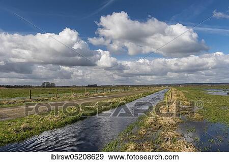 Stock Photo - Osterfeiner Wiesen, wet meadow, nature reserve, Oldenburger Münsterland, Lower Saxony, Germany, Europe. Fotosearch