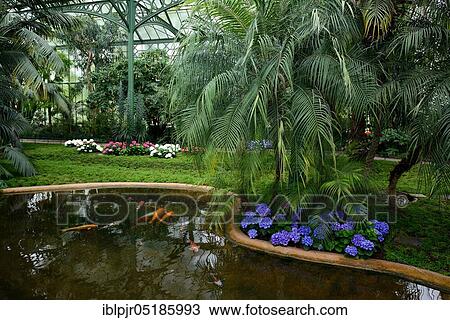 Palm House, Wilhelma, Zoological-Botanical Garden, Stuttgart, Baden-Württemberg, Germany, Europe View Large Photo Image Stock Image - Palm House, Wilhelma, Zoological-Botanical Garden, Stuttgart, Baden-Württemberg, Germany, Europe. Fotosearch