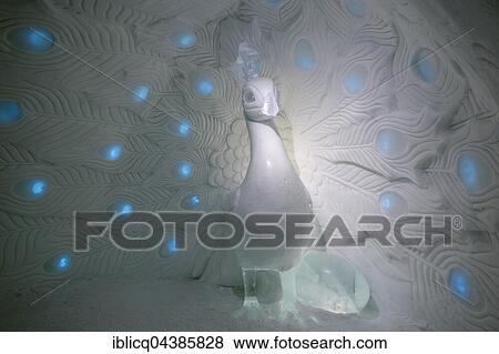 Peacock sculpture made of snow and ice, by Tjasa Gusfors and David Andrén, Icehotel, Jukkasjärvi, Norrbotten County, Sweden, Europe View Large Photo Image Stock Photo - Peacock sculpture made of snow and ice, by Tjasa Gusfors and David Andrén, Icehotel, Jukkasjärvi, Norrbotten County, Sweden, Europe. Fotosearch