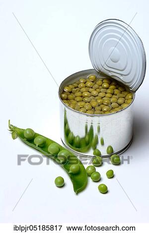 Stock Photo - Peas ( Pisum sativum) canned. Fotosearch