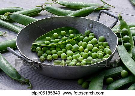 Peas ( Pisum sativum) green in shell and pods View Large Photo Image Stock Image - Peas ( Pisum sativum) green in shell and pods. Fotosearch