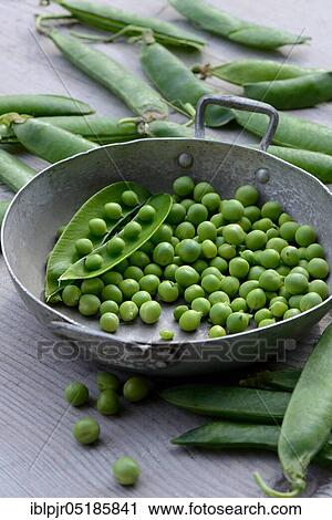 Peas ( Pisum sativum) green in shell and pods View Large Photo Image Stock Image - Peas ( Pisum sativum) green in shell and pods. Fotosearch