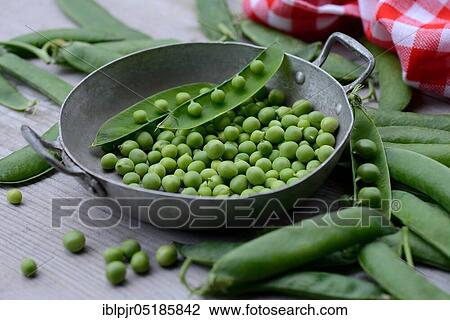 Stock Image - Peas ( Pisum sativum) green in shell and pods. Fotosearch