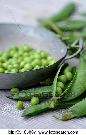 Stock Photo - Peas ( Pisum sativum) green in shell and pods. Fotosearch