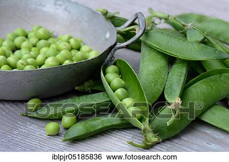Peas ( Pisum sativum) green in shell and pods View Large Photo Image Stock Photograph - Peas ( Pisum sativum) green in shell and pods. Fotosearch