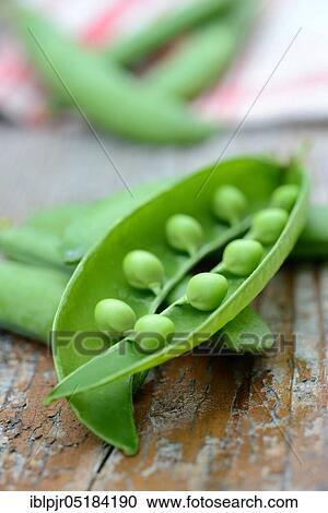 PeasOpened the pod View Large Photo Image Stock Image - PeasOpened the pod. Fotosearch