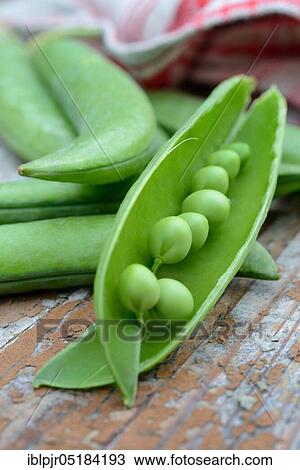 PeasOpened the pod View Large Photo Image Stock Image - PeasOpened the pod. Fotosearch