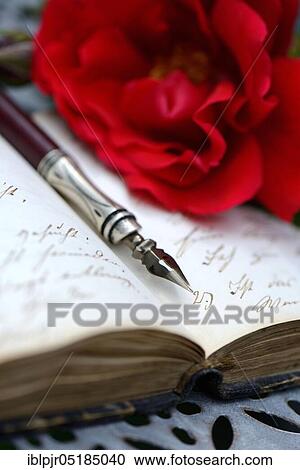 Stock Image - Penholder on book with old writing, red rose, handwriting. Fotosearch