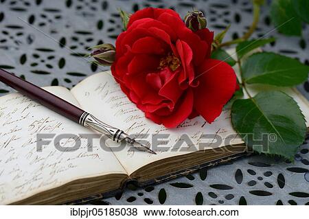 Stock Photo - Penholder on book with old writing, red rose, handwriting. Fotosearch