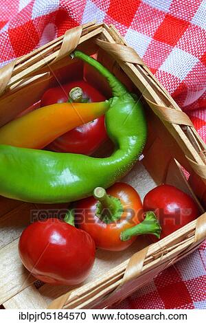 Peppers, chillies, chillies, peppers, chilli peppers, chilli peppers ( Capsicum annuum) View Large Photo Image Stock Image - Peppers, chillies, chillies, peppers, chilli peppers, chilli peppers ( Capsicum annuum). Fotosearch