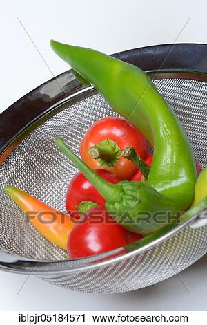 Peppers, chillies, chillies, peppers, chilli peppers, chilli peppers ( Capsicum annuum) View Large Photo Image Stock Image - Peppers, chillies, chillies, peppers, chilli peppers, chilli peppers ( Capsicum annuum). Fotosearch