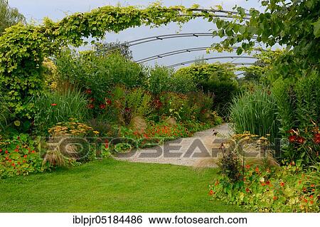 Pergola (Clematis) with nasturtium and hops and, Great Britain, Merriments Gardens, Hurst Green, County of Kent, England View Large Photo Image Stock Photograph - Pergola (Clematis) with nasturtium and hops and, Great Britain, Merriments Gardens, Hurst Green, County of Kent, England. Fotosearch