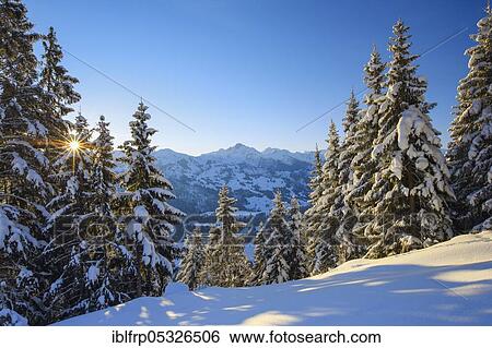 Pilgrim's Tallow and Albristhorn, view from Jaunpass, Bernese Oberland, Switzerland, Europe View Large Photo Image Stock Photograph - Pilgrim's Tallow and Albristhorn, view from Jaunpass, Bernese Oberland, Switzerland, Europe. Fotosearch