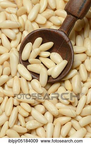 Stock Photo - Pine nuts with wooden spoon. Fotosearch