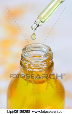 Pipette with calendula tincture, calendula tincture View Large Photo Image Stock Photo - Pipette with calendula tincture, calendula tincture. Fotosearch