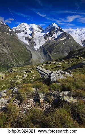 Stock Image - Piz Bernina, 4049 m, Bianco ridge, Piz Roseg, 3937 m, view from Fuorcla Surlej, Graubuenden, Switzerland, Europe. Fotosearch