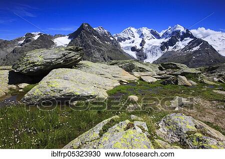 Piz Tschierva, 3546 m, Piz Bernina, 4049 m, Biancograt, Piz Roseg, 3937 m, Graubuenden, Switzerland, Europe View Large Photo Image Stock Image - Piz Tschierva, 3546 m, Piz Bernina, 4049 m, Biancograt, Piz Roseg, 3937 m, Graubuenden, Switzerland, Europe. Fotosearch