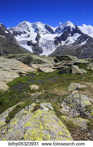 Piz Tschierva, 3546 m, Piz Bernina, 4049 m, Biancograt, Piz Roseg, 3937 m, Graubuenden, Switzerland, Europe View Large Photo Image Stock Image - Piz Tschierva, 3546 m, Piz Bernina, 4049 m, Biancograt, Piz Roseg, 3937 m, Graubuenden, Switzerland, Europe. Fotosearch