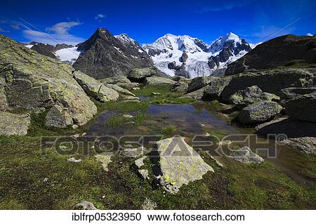 Stock Image - Piz Tschierva, 3546 m, Piz Bernina, 4049 m, Biancograt, Piz Roseg, 3937 m, view from Fuorcla Surlej, Graubuenden, Switzerland, Europe. Fotosearch