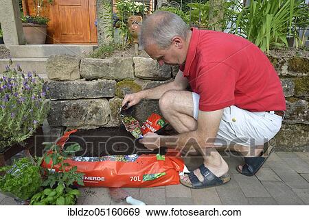 Planting bag with potting soil View Large Photo Image Stock Photo - Planting bag with potting soil. Fotosearch