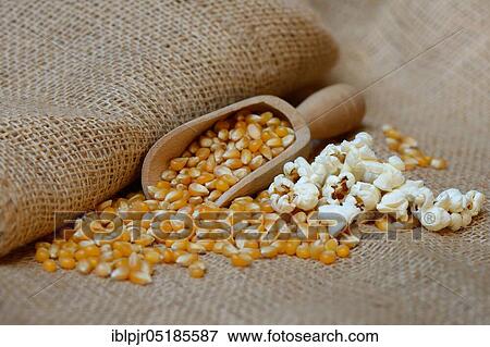 Stock Photo - Popcorn and corn kernels in shovel. Fotosearch