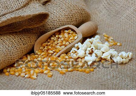 Popcorn and corn kernels in shovel View Large Photo Image Stock Photo - Popcorn and corn kernels in shovel. Fotosearch