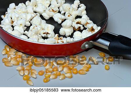 Popcorn in pan and corn kernels View Large Photo Image Stock Image - Popcorn in pan and corn kernels. Fotosearch