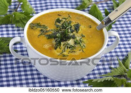 Potato soup with roasted nettles and dandelion (Taraxacum officinale) (Urtica dioica) View Large Photo Image Stock Image - Potato soup with roasted nettles and dandelion (Taraxacum officinale) (Urtica dioica). Fotosearch